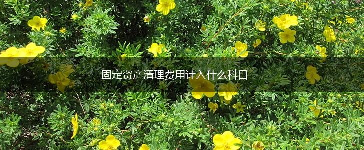 固定资产清理费用计入什么科目,第1张