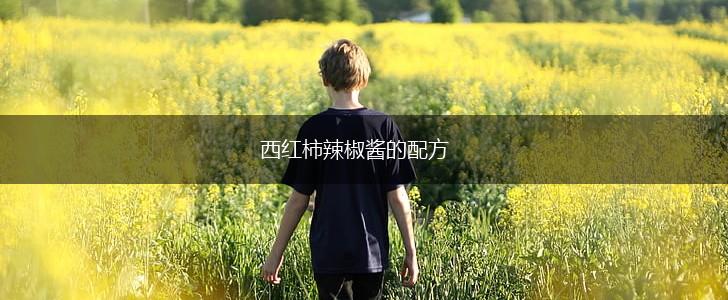 西红柿辣椒酱的配方,第1张