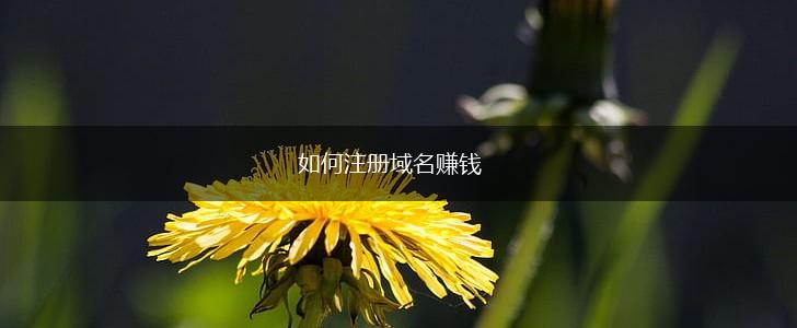 如何注册域名赚钱,第1张