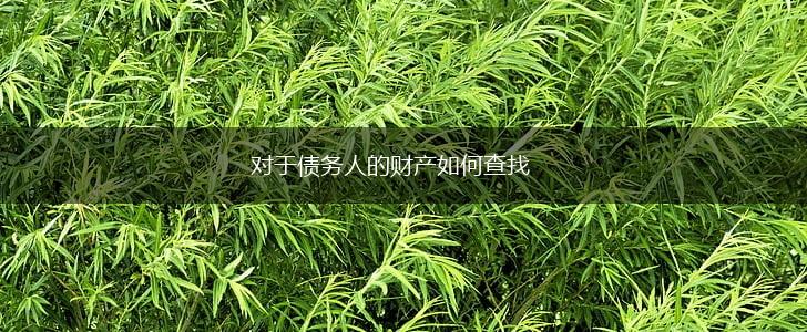 对于债务人的财产如何查找,第1张