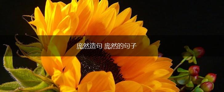 庞然造句 庞然的句子,第1张