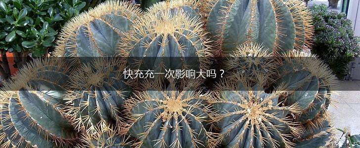 快充充一次影响大吗？,第1张