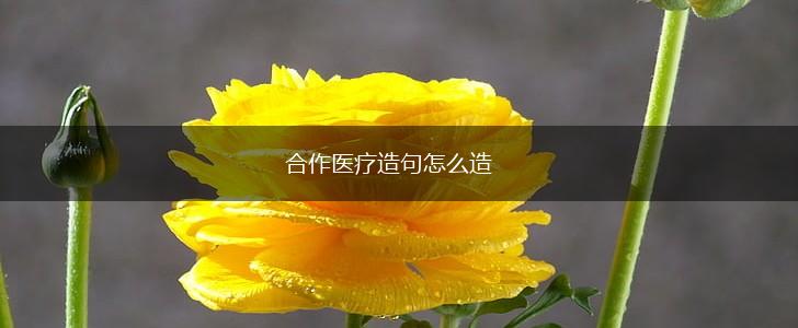 合作医疗造句怎么造,第1张