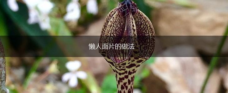 懒人面片的做法,第1张