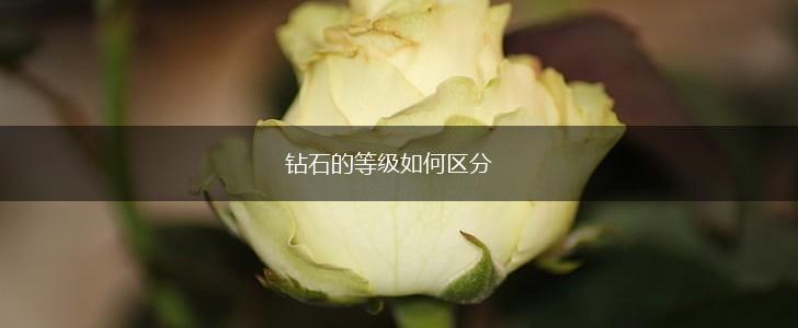 钻石的等级如何区分,第1张