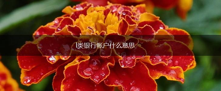 l类银行帐户什么意思,第1张