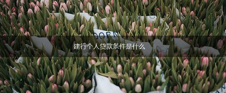 建行个人贷款条件是什么,第1张