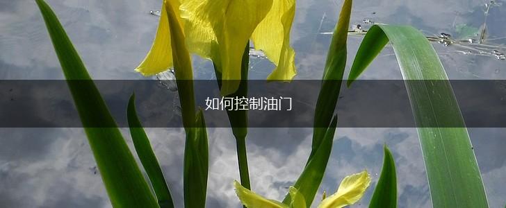 如何控制油门,第1张