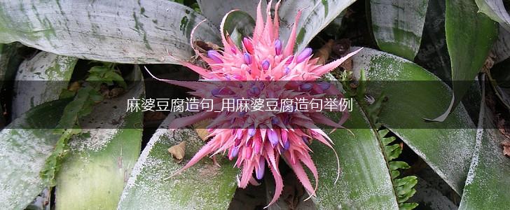 麻婆豆腐造句_用麻婆豆腐造句举例,第1张