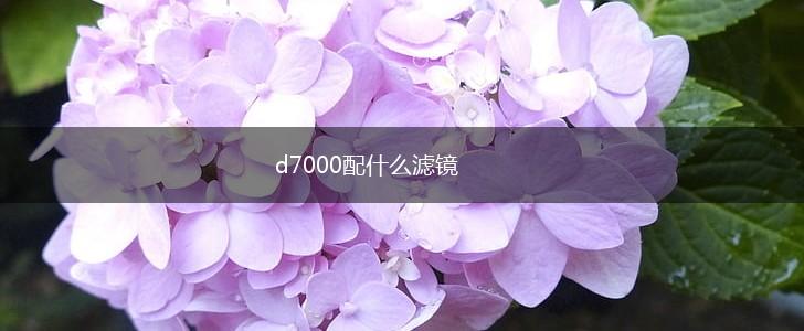d7000配什么滤镜,第1张