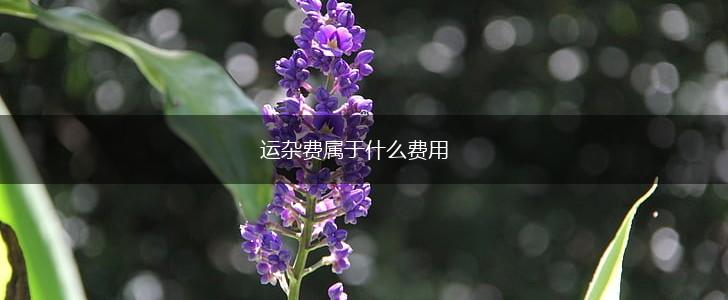 运杂费属于什么费用,第1张