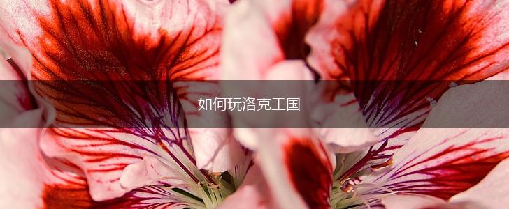 如何玩洛克王国,第1张