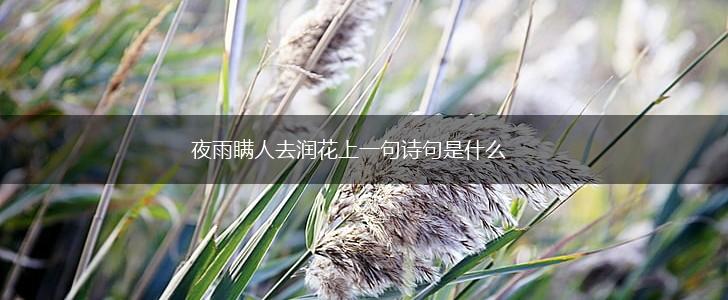 夜雨瞒人去润花上一句诗句是什么,第1张