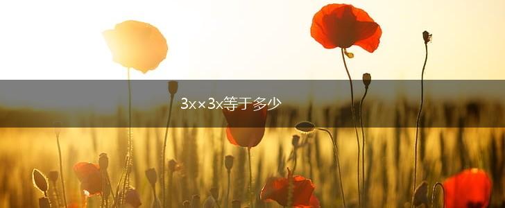 3x×3x等于多少,第1张