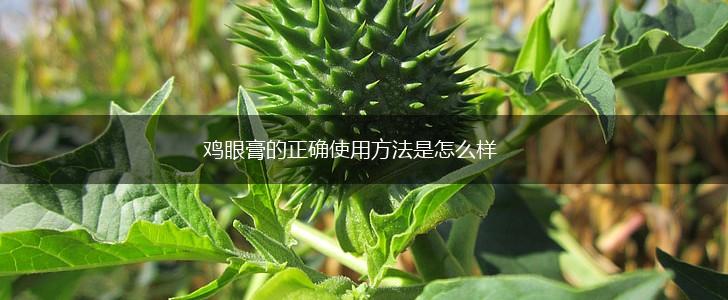 鸡眼膏的正确使用方法是怎么样,第1张