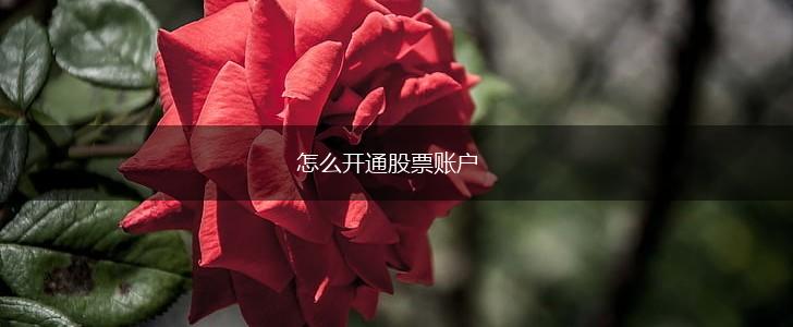 怎么开通股票账户,第1张