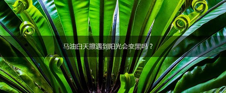 马油白天擦遇到阳光会变黑吗？,第1张