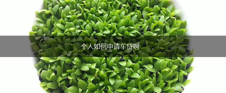个人如何申请车贷啊,第1张