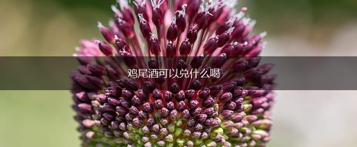 鸡尾酒可以兑什么喝,第1张