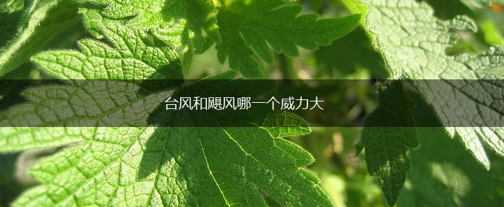 台风和飓风哪一个威力大,第1张