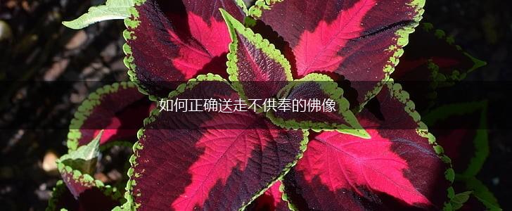 如何正确送走不供奉的佛像,第1张