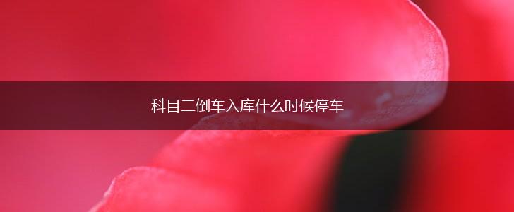 科目二倒车入库什么时候停车,第1张