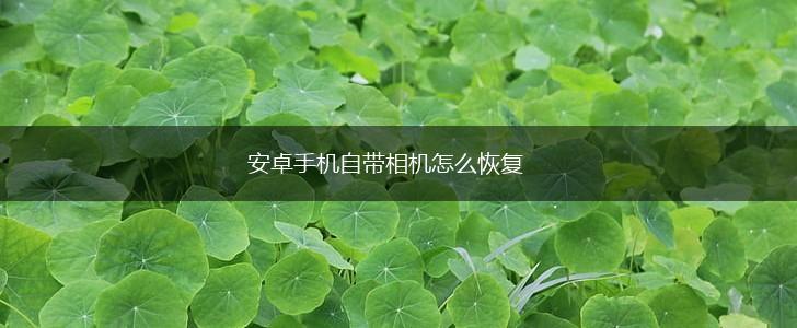 安卓手机自带相机怎么恢复,第1张