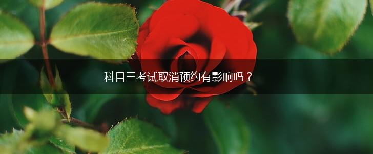 科目三考试取消预约有影响吗？,第1张