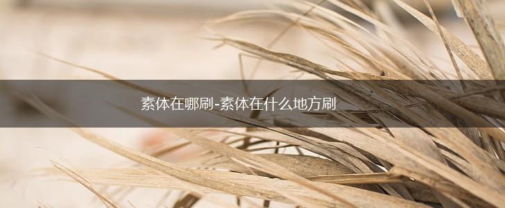 素体在哪刷-素体在什么地方刷,第1张