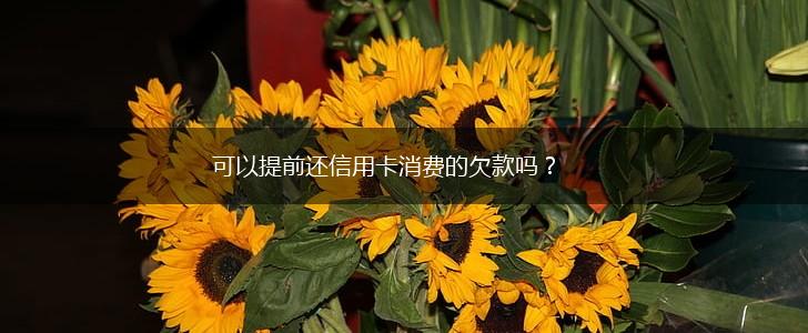 可以提前还信用卡消费的欠款吗？,第1张
