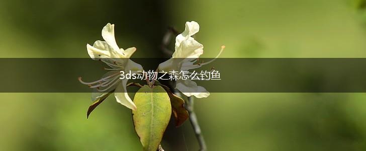 3ds动物之森怎么钓鱼,第1张