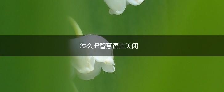 怎么把智慧语音关闭,第1张
