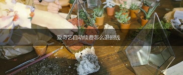 爱奇艺自动续费怎么退回钱,第1张