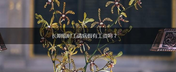 长期临时工请病假有工资吗？,第1张