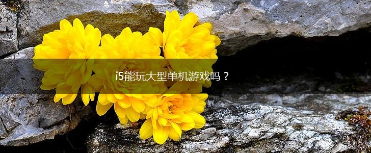 i5能玩大型单机游戏吗？,第1张