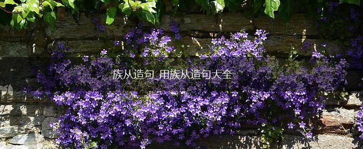 族从造句_用族从造句大全,第1张