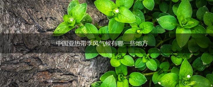 中国亚热带季风气候有哪一些地方,第1张