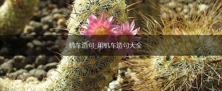 机车造句_用机车造句大全,第1张