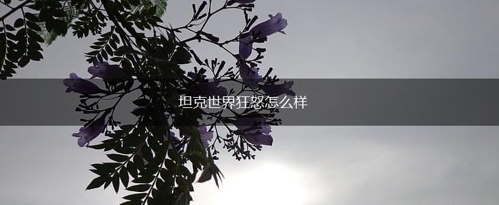 坦克世界狂怒怎么样,第1张