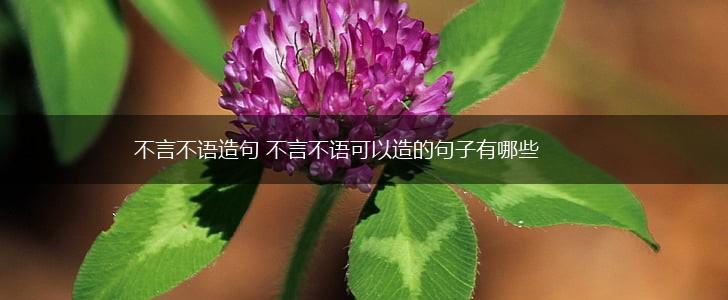 不言不语造句 不言不语可以造的句子有哪些,第1张
