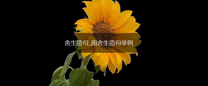 舍生造句_用舍生造句举例,第1张