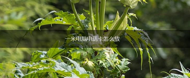 一米电脑电话卡怎么放,第1张