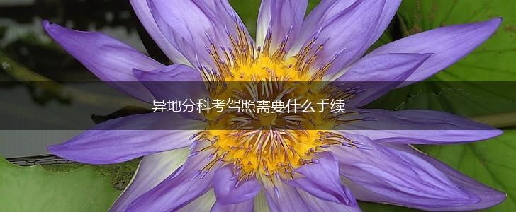 异地分科考驾照需要什么手续,第1张
