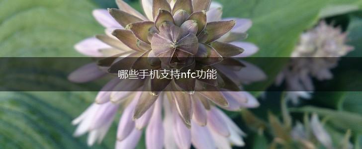 哪些手机支持nfc功能,第1张