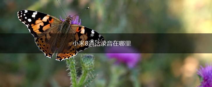 小米8通话录音在哪里,第1张