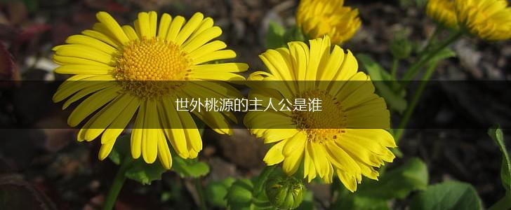 世外桃源的主人公是谁,第1张