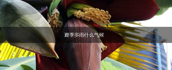 夏季多雨什么气候,第1张