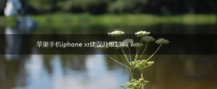 苹果手机iphone xr建议升级13吗？,第1张