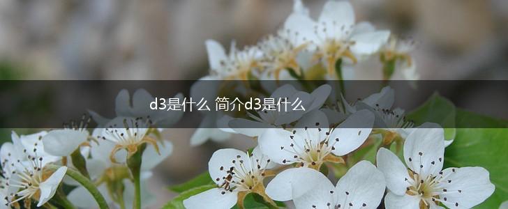 d3是什么 简介d3是什么,第1张