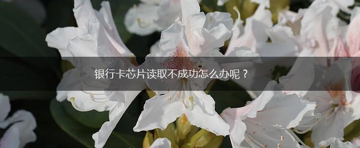 银行卡芯片读取不成功怎么办呢？,第1张